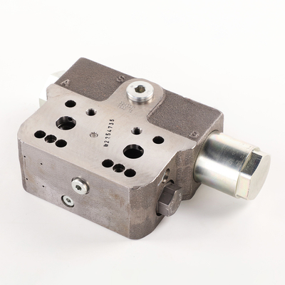 Rexroth Hydraulic Piston Motor Bvd20 Balance Valve with Double Seater at Affordable