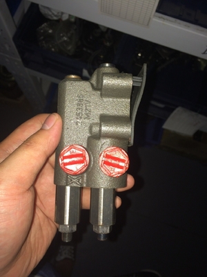 A10vg Series A4vg180 A4vg90 A4vg45 A10V028 Hydraulic Pump for Crawler Crane Pistons