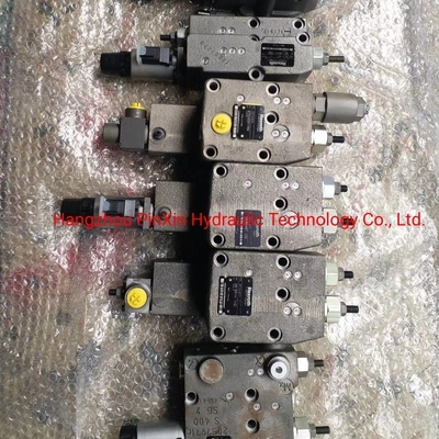 A11vo95 Lrs Valve for Crawler Crane Rexroth Hydraulic Piston Pump Parts