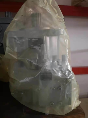 Radial Plunger Pump Type A11vo95 Hydraulic Pump with Customization and Flow Valve