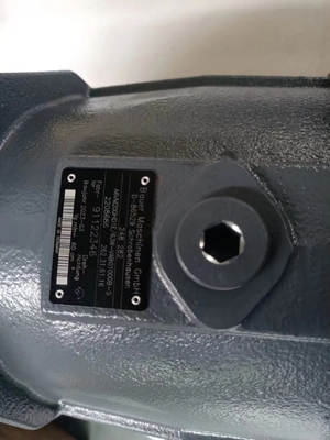 Oil Extraction Machine A6vm200HD1e/63W-Vab01000b-S Hydraulic Motor with Customization
