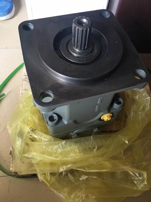 Cast Iron Hydraulic Piston Pump A11vo75 Series Pump for Customization Requirements