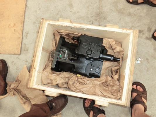 A11vo75 Series Straight Shaft Swashplate Piston Type Hydraulic Pump for Line Pump 40kg