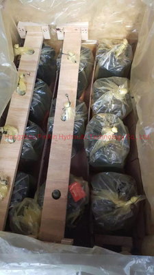 Straight Shaft Swashplate Piston Type A10vso140 for Hydraulic Driven Reciprocating Pump