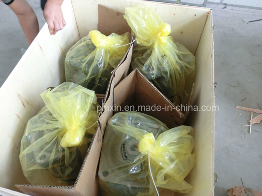 Oil Hydraulic Piston Motor A6vm160ep2 A6vm160ep2d for Crewler Crane Customization