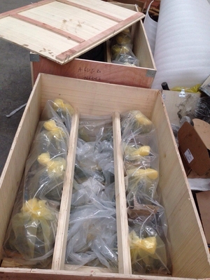 A6ve55Hz1 A6ve55Hz3 Series Hydraulic Motor for Crawler Cranes Protected by Made-in-.com