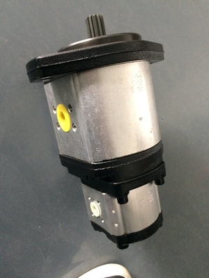 Hydraulic Gear Pump 705-55-34160 Sale for Hoisting Machinery Refund Policy Missing