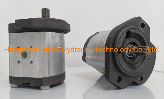 0510725102 Gear Pump for Rexroth Hydraulic Pump Normal Line Azpf-11-022rrr20kb-S0081