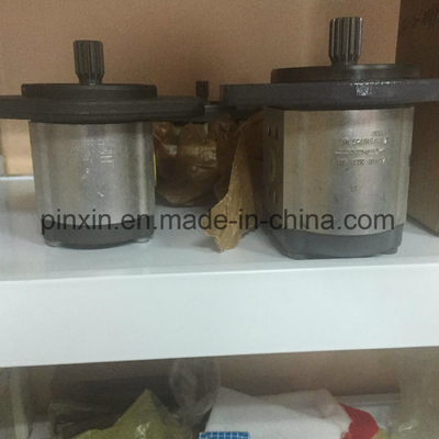 Oil Hydraulic Gear Pump with Cast Iron Material and Durable Performance