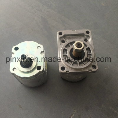 Oil Hydraulic Gear Pump with Cast Iron Material and Durable Performance