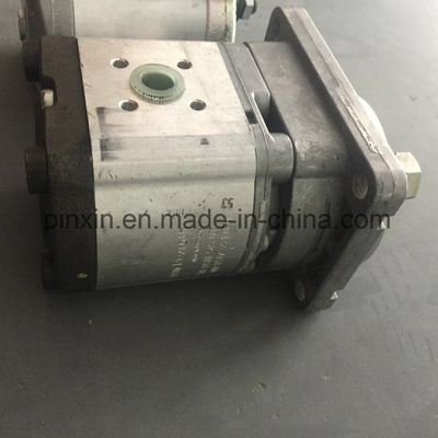Oil Hydraulic Gear Pump with Cast Iron Material and Durable Performance