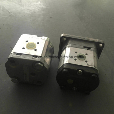 Oil Hydraulic Gear Pump with Cast Iron Material and Durable Performance