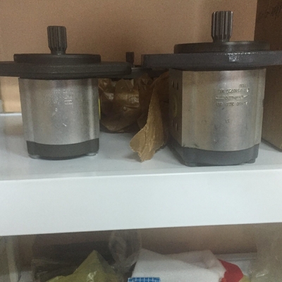 Carbon Steel Hydraulic Pump Parts Gear Pump for Truck Crane Rexroth Azpf Azpg Apply