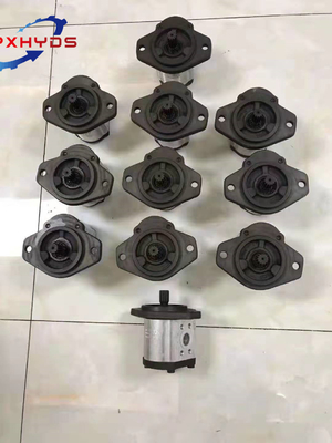 Internal Engaged Mesh Form Hydraulic Pump Gear Pump Pilot Pump Charge Pump for Mining