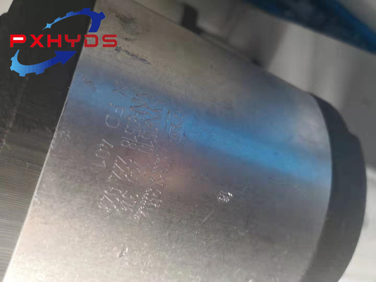 Hydraulic Pump Spare Parts Internal Engaged Double Gear Pump for Machinery Manufacturing