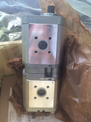 Cast Iron Hydraulic Gear Pump Azpff-22-019/019LFP2020pb-S0925 with USD Payment Support