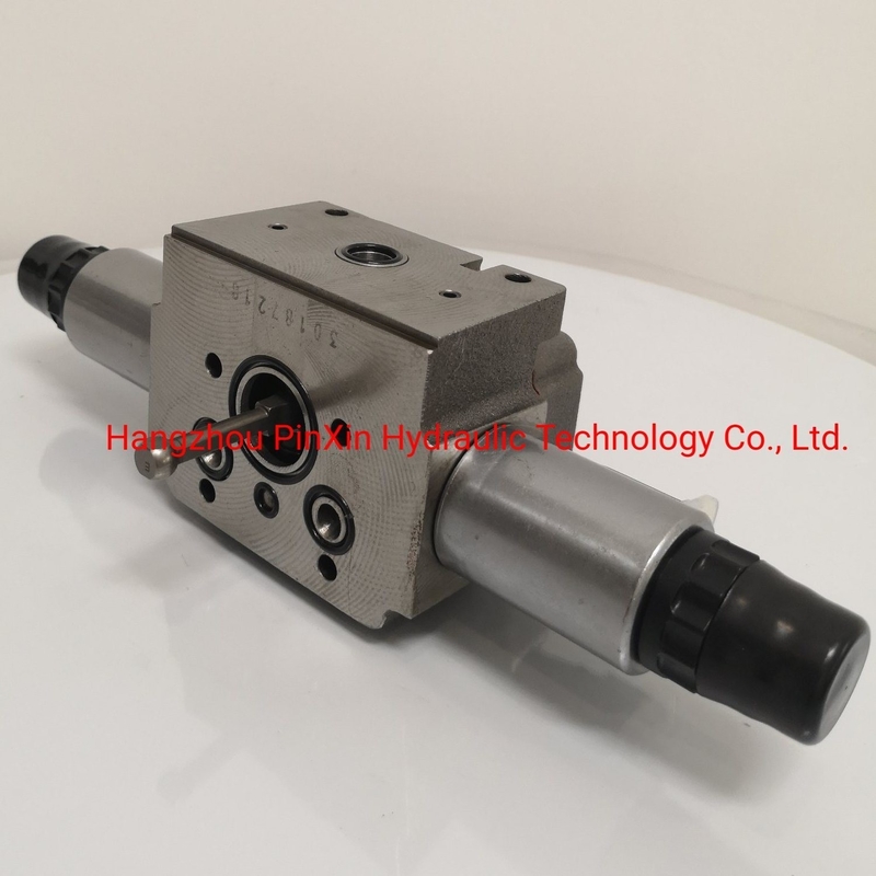Double Seater A4vg90/125/180/250 Hydraulic Pump for Rexroth Hydraulic Piston Pump Parts