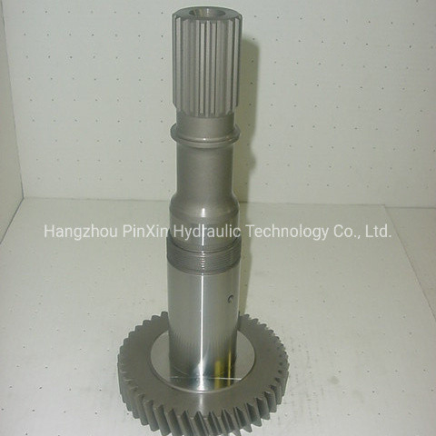 Cast Iron Hydraulic Spare Parts for Apply Paver Rexroth A8vo107 Pump at Affordable