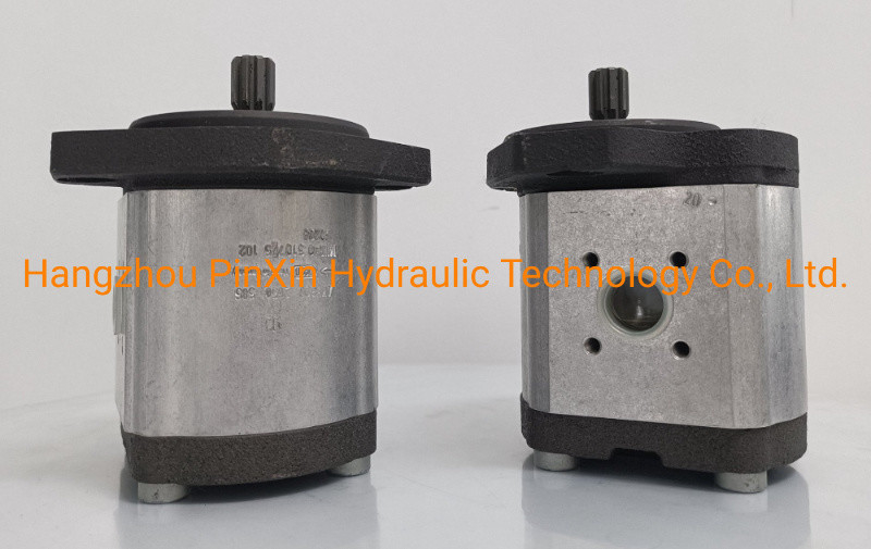 0510725102 Gear Pump for Rexroth Hydraulic Pump Normal Line Azpf-11-022rrr20kb-S0081