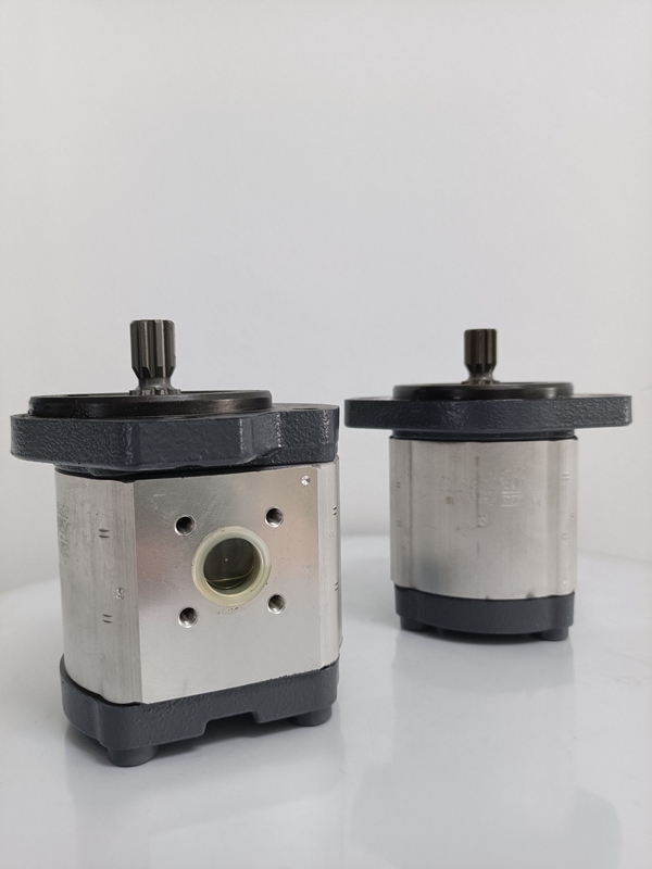 Involute Tooth Curve Azpf-11-019rrr20kb-S0081 Gear Pump for Rexroth Hydraulic Pump